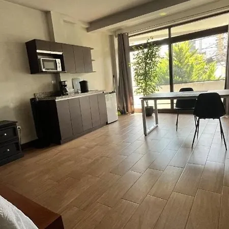 Oak 2B Loft Ejecutivo En Zona 10